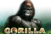 Slot machine Gorilla di novomatic