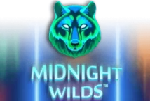 Slot machine Midnight Wilds di playtech