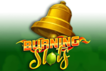 Slot machine Burning Slots di bf-games