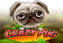 Slot machine Crazy Pug di swintt