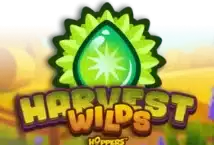 Slot machine Harvest Wilds di hacksaw-gaming