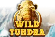 Slot machine Wild Tundra di red-tiger-gaming