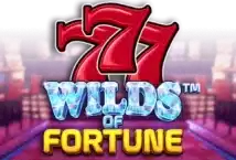 Slot machine Wilds of Fortune di betsoft-gaming