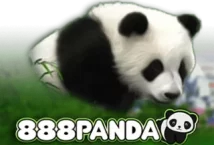 Slot machine 888 Panda di maverick