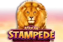 Slot machine African Stampede di novomatic