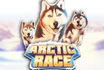 Slot machine Arctic Race di novomatic