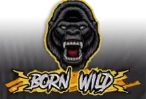 Slot machine Born Wild di hacksaw-gaming