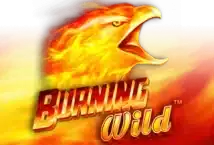 Slot machine Burning Wild di novomatic