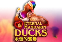 Slot machine Power Prizes – Eternal Mandarin Ducks di novomatic