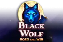 Slot machine Black Wolf di booongo