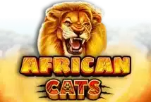 Slot machine African Cats di ruby-play