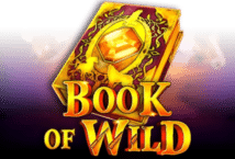Slot machine Book Of Wild di 1spin4win
