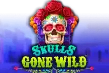 Slot machine Skulls Gone Wild di netgaming