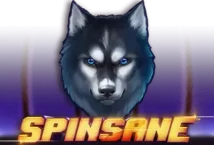 Slot machine Spinsane di netent