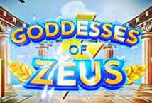 Slot machine Goddesses of Zeus di popok-gaming