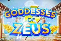 Slot machine Goddesses of Zeus di popok-gaming