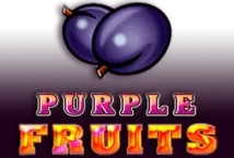 Slot machine Purple Fruits di casino-technology