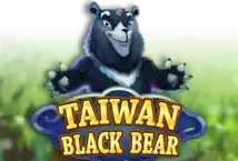 Slot machine Taiwan Black Bear di ka-gaming