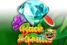 Slot machine Back to the Fruits: Respins of Amun-Re di gamomat