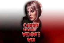 Slot machine Caught in the Widow’s Web di high-5-games