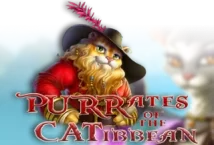 Slot machine Purrates of the Catibbean di high-5-games