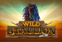 Slot machine Wild Stallion Quattro di stakelogic