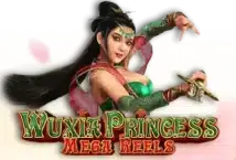 Slot machine Wuxia Princess di gameplay-interactive
