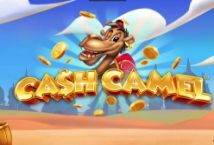 Slot machine Cash Camel di isoftbet