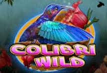 Slot machine Colibri Wild di casino-technology