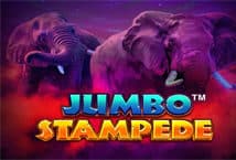 Slot machine Jumbo Stampede di isoftbet