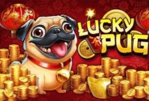 Slot machine Lucky Pug di high-5-games