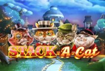 Slot machine Stack a Cat di leander-games