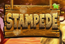 Slot machine Stampede di betsoft-gaming