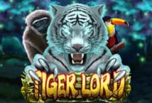Slot machine Tiger Lord di dragoon-soft