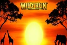 Slot machine Wild Run di nextgen-gaming