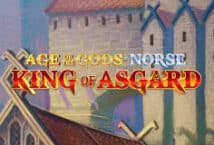 Slot machine Age of the Gods Norse King of Asgard di playtech