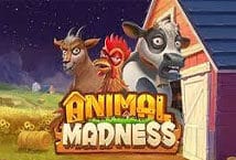 Slot machine Animal Madness di playn-go