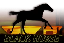 Slot machine Black Horse di wazdan