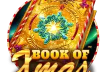 Slot machine Book Of Xmas di spinomenal