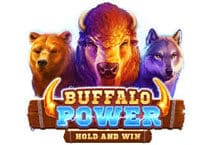 Slot machine Buffalo Power: Hold and Win di playson