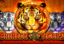 Slot machine Chinese Tigers di platipus
