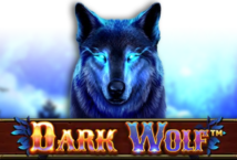 Slot machine Dark Wolf di spinomenal