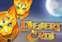 Slot machine Desert Cats di wms