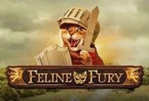 Slot machine Feline Fury di playn-go