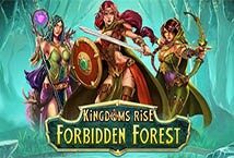 Slot machine Kingdoms Rise: Forbidden Forest di playtech