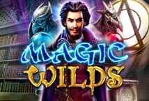 Slot machine Magic Wilds di red-rake-gaming