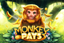 Slot machine Monkey Pays di skywind-group
