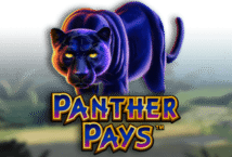 Slot machine Panther Pays di playtech