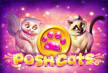 Slot machine Posh Cats di platipus