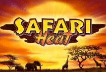 Slot machine Safari Heat di playtech